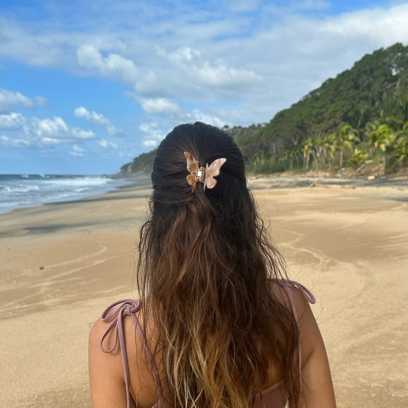 Butterfly Hair Clip