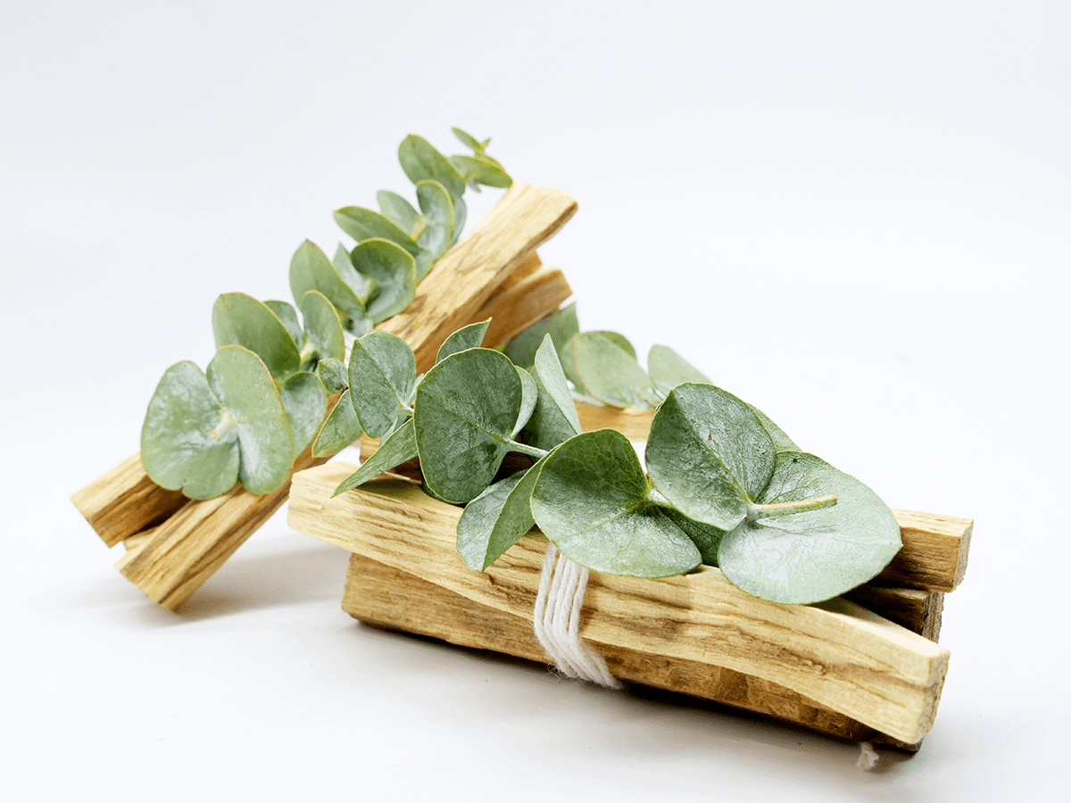 Palo Santo Natural Incense - Smudge/Crystal Fachie Market - Fachie Market